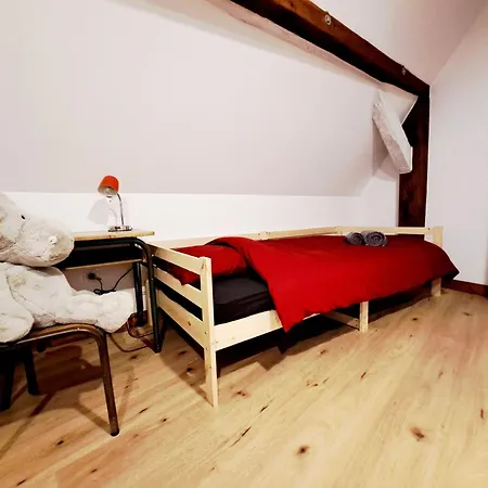 Schlupfgass' - Centre Historique Appartamento Wissembourg